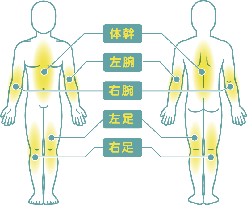 身体のイラスト
